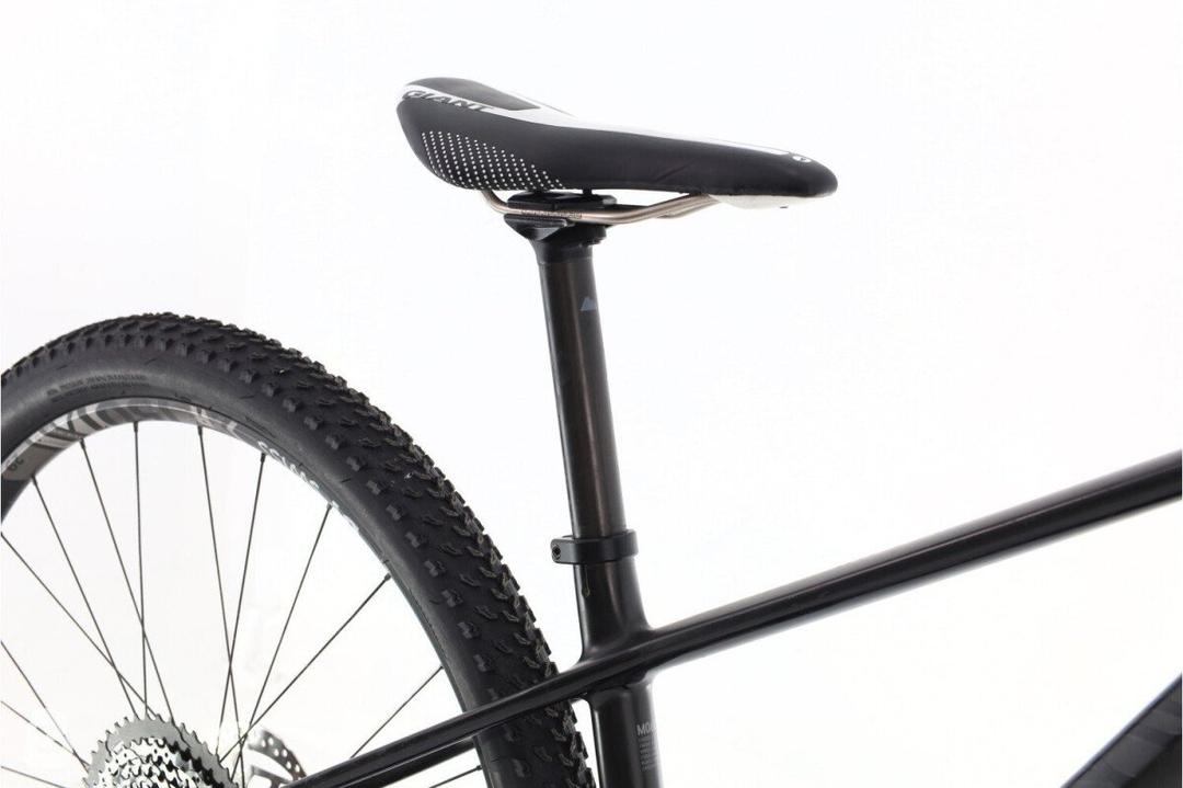 Canyon Exceed CF SL X01 2019