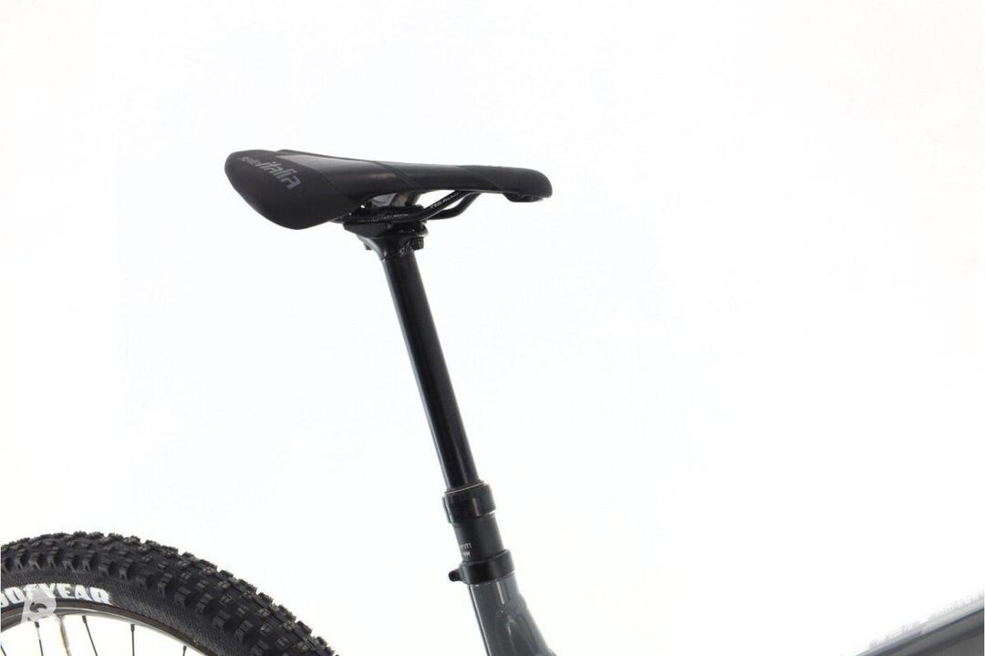 Focus Thron 6.8 2024