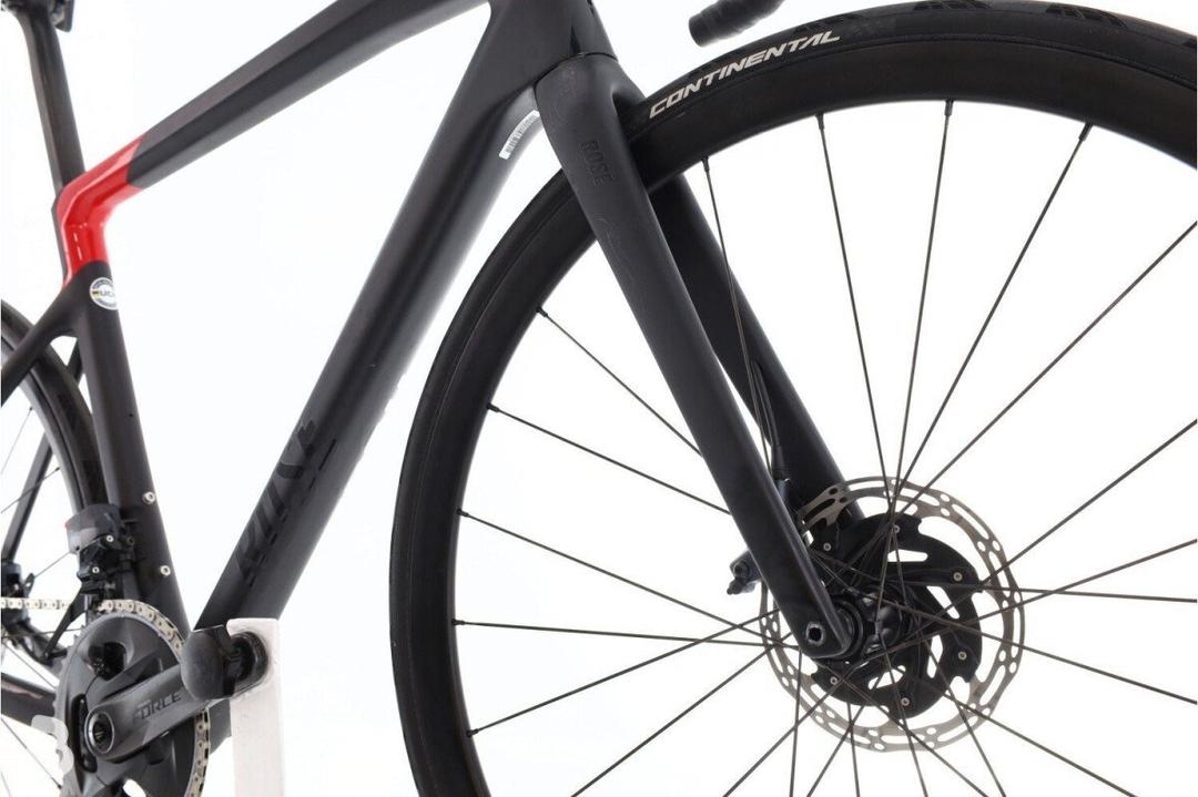 Rose Rose Reveal Four AXS 12V 2023