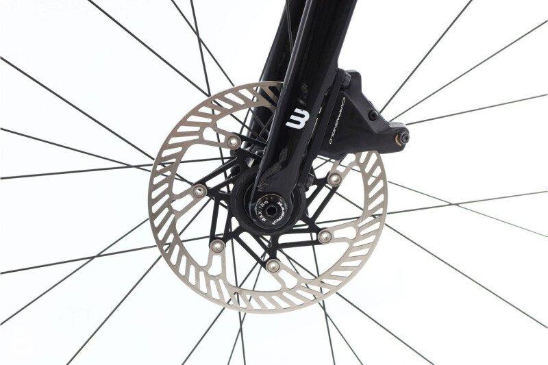 Basso Basso Palta 3 2021