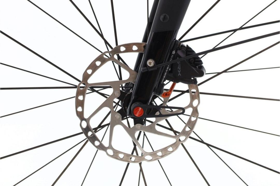 Rose Rose Backroad+ 2023