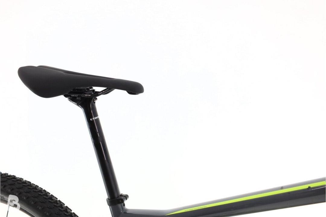 BMC Team Elite 01 2022