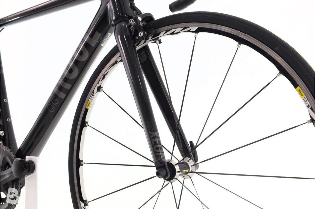 Rose Rose Xeon CRS 2010