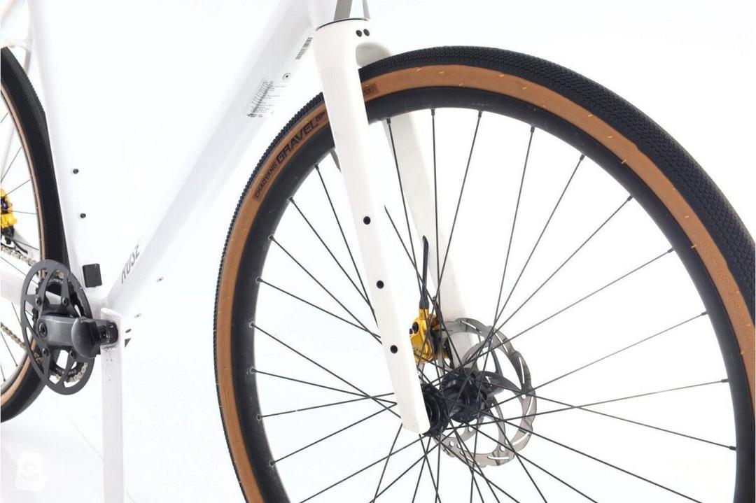 Rose Rose Sneak+ 2024