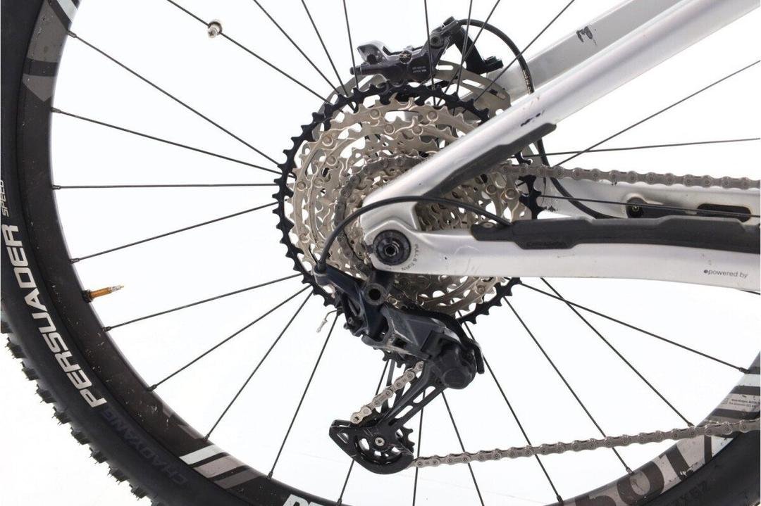 Orbea Wild Carbon 2022