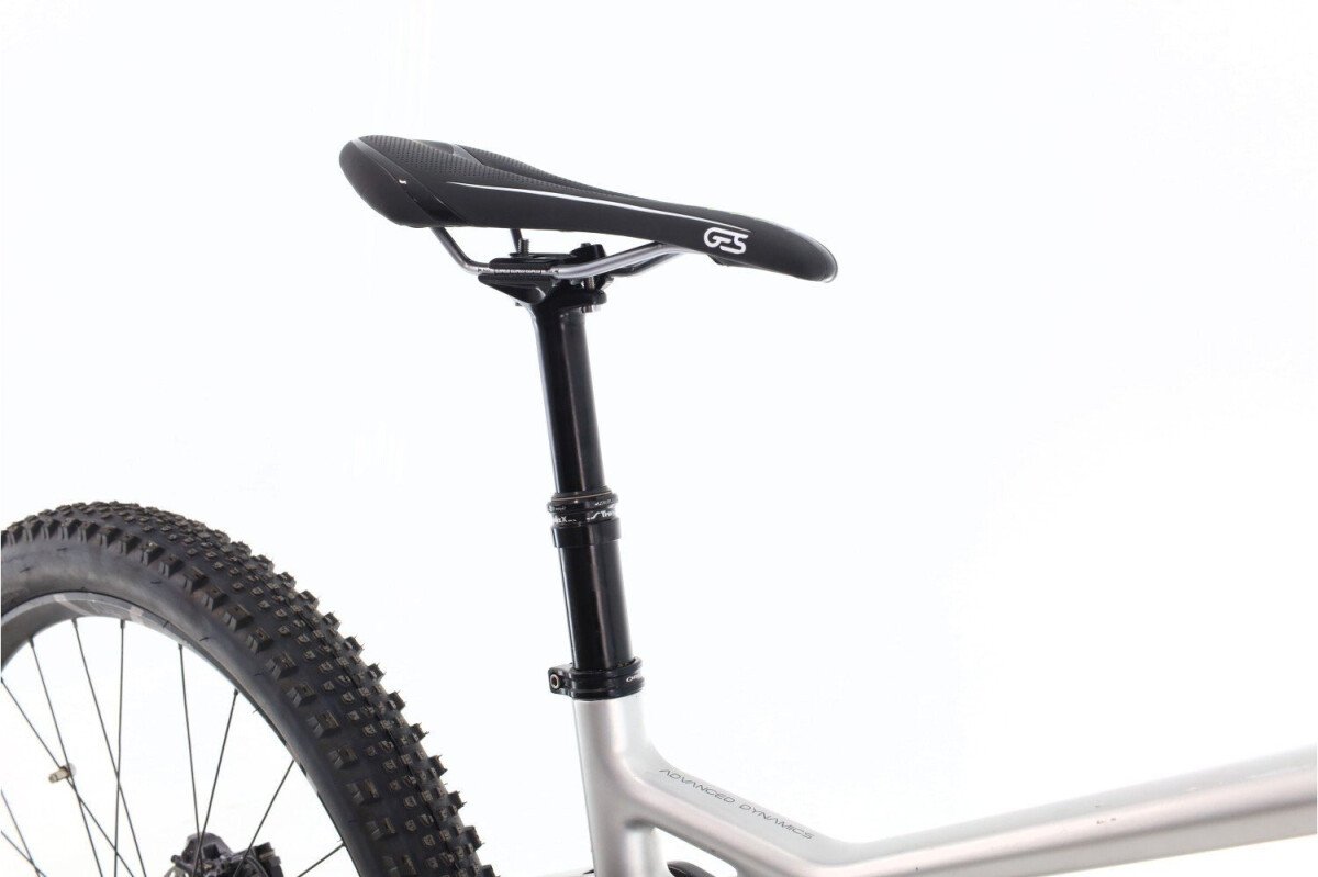 Orbea Wild Carbon 2022
