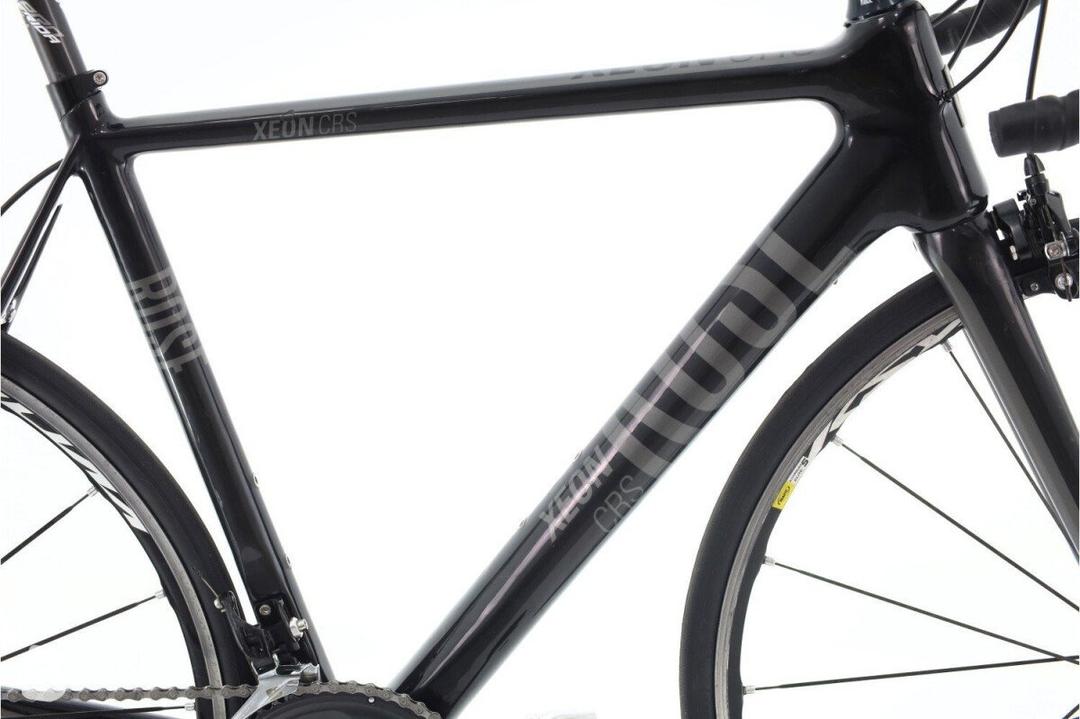 Rose Rose Xeon CRS 2010