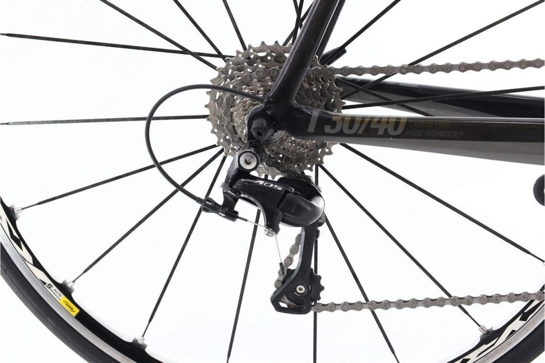 Rose Rose Xeon CRS 2010