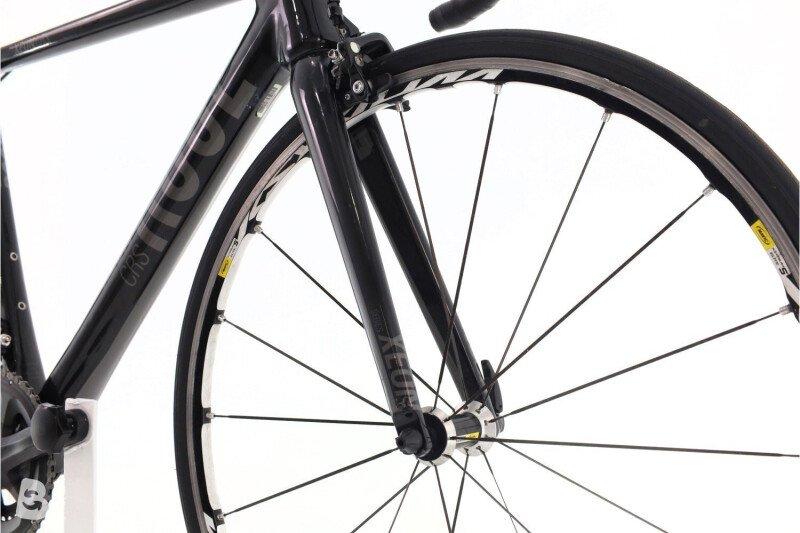 Rose Rose Xeon CRS 2010