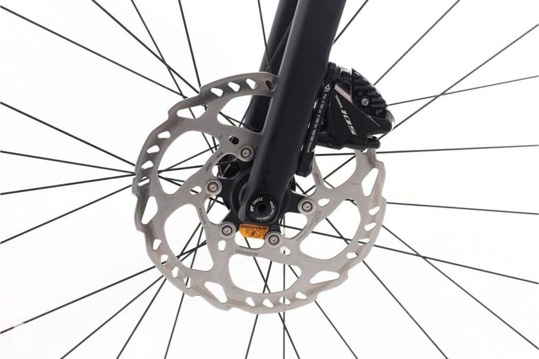 Rose Rose Reveal Plus 2024