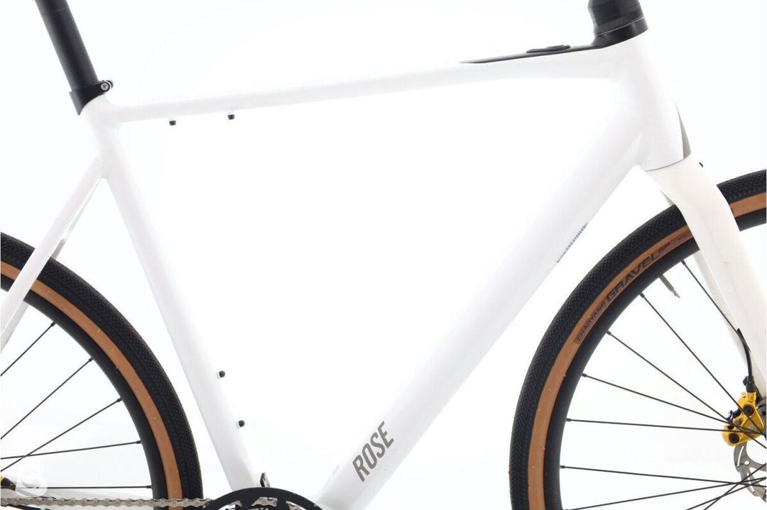 Rose Rose Sneak+ 2024