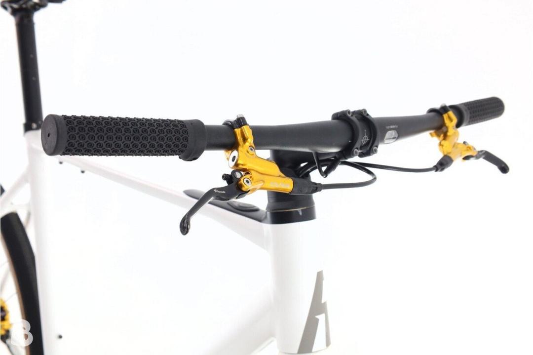 Rose Rose Sneak+ 2024